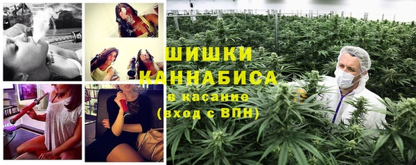 прущие грибы Алзамай