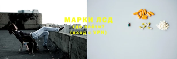 прущие грибы Алзамай