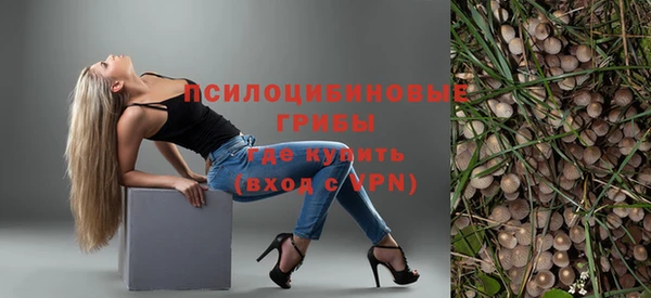 прущие грибы Алзамай