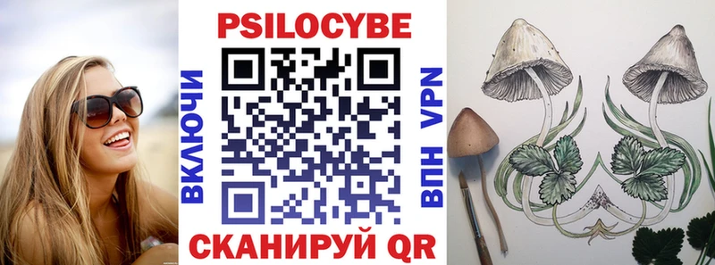 Псилоцибиновые грибы Magic Shrooms  гидра онион  Киселёвск 